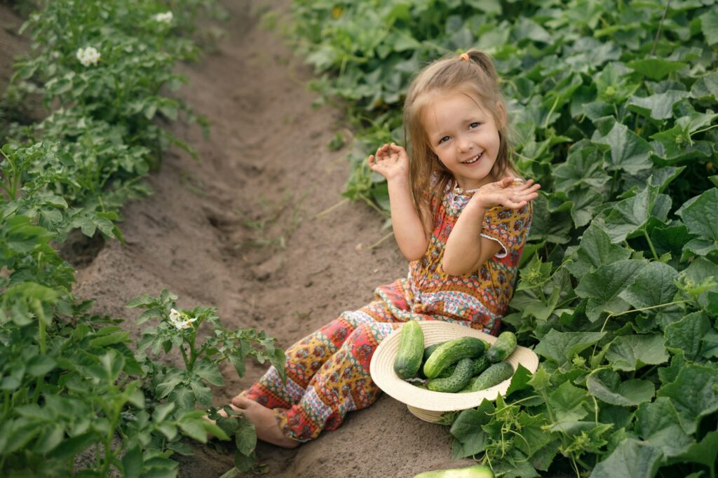 Kid has collected lot of cucumbers from the garden