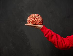 male hand hold human brain on dark background